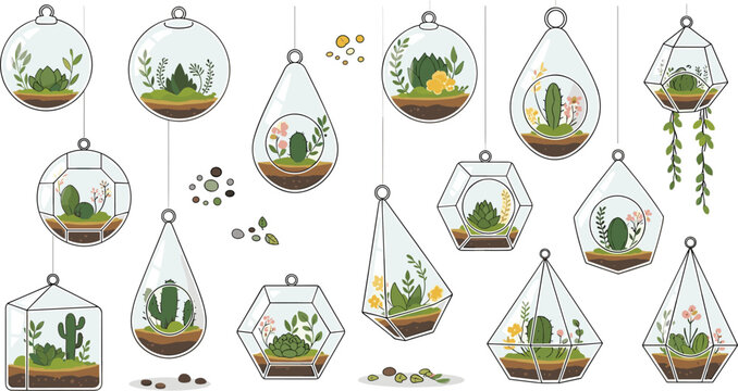 Hanging glass terrarium vector collection featuring indoor succulent plants and cactus in geometric glass globes for home decor gardening and modern interior illustration designs.