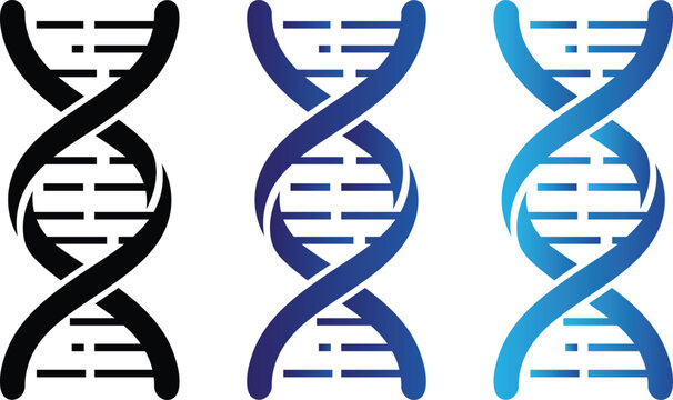 Three stylized DNA double helix in black dark blue and light blue DNA helix genetic code