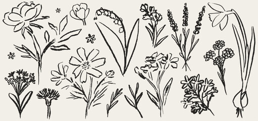 Naklejka premium Grunge charcoal chalk spring summer flower collection. Vector illustration of ink hand drawn wild and garden herbs. Wax crayon drawings. Floral silhouette elements perfect for poster, cards, placard.