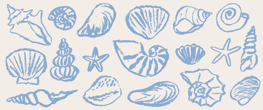 Blue sea or ocean shell collection. Contemporary isolated beach art in chalk, charcoal or wax crayon drawing style vector illustration. Ink grunge hand drawn doodle shells set. Pencil design elements.