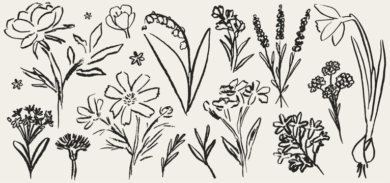 Grunge charcoal chalk spring summer flower collection. Vector illustration of ink hand drawn wild and garden herbs. Wax crayon drawings. Floral silhouette elements perfect for poster, cards, placard.