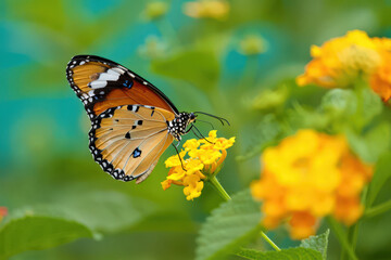 Monarch's Golden Moment A Butterfly's Embrace on Lantana Blossoms in a Sunlit Garden A Symphony of Colors and Delicate Wings Amidst Verdant Foliage