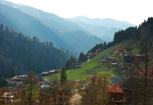 Traditional wooden houses on Ayder Plateau surrounded by lush green hills and mountain scenery in the Black Sea region, Rize, Turkey.
