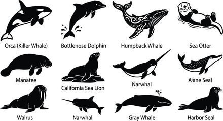 Marine mammal silhouette collection featuring orca, dolphin, humpback whale, sea otter, manatee, walrus, narwhal and seals in clean vector wildlife illustration set © creativeDesigner2023