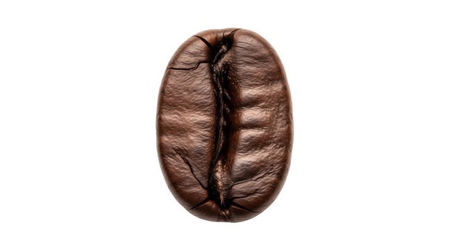 Roasted coffee bean isolated PNG on transparent background, aromatic ingredient for coffee drinks and caffeine beverages