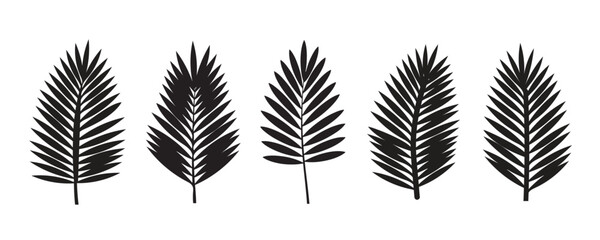 Tropical palm leaf silhouette set. Botanical fern frond and exotic jungle foliage symbols. Vector summer plant elements. © Articurve