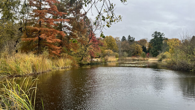 PANORAMA FLUVIALE AUTUNNALE