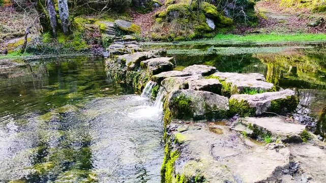 Peque&ntilde;a cascada fluyendo sobre un r&uacute;stico puente de piedras en un estanque natural rodeado de bosque verde y tranquilo.