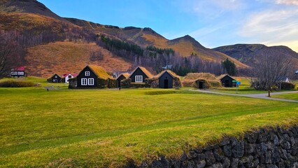 Ozdobne domy na polanie  © Asnyko