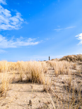 Sand Dunes with Beach Grass and the Famous Warnem&uuml;nde Lighthouse and Teepott in the Background (Rostock, Germany)