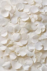 matte white background with soft petal textures evenly dispersed