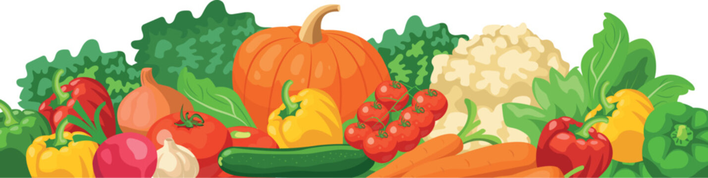 Fresh Organic Vegetables Harvest boder with with Transparent Background