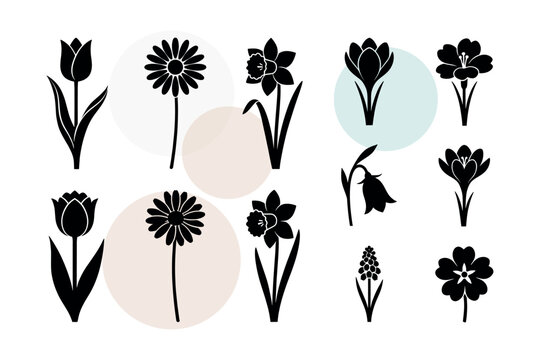 Vector set of charming spring flower silhouettes with grape hyacinth bluebell and primrose for rustic seasonal decorations. Unique botanical plant vector illustration design.