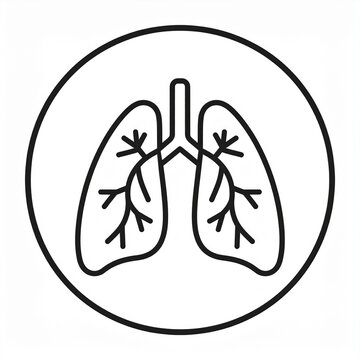 Human lungs icon illustration medical health breathing organ vector design