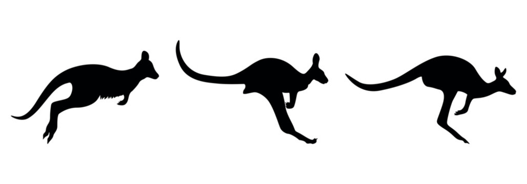 Australian kangaroo silhouettes set with female carrying joey in pouch and male in jumping motion for outback design art. silhouette of a deer