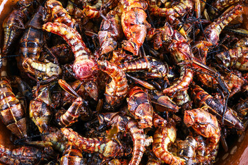 Exotic Mexican food, Dried grasshoppers © EderMarcos