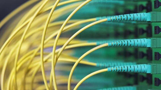 Modular fiber optic distribution patch panel with connected patch cords, an element of a passive optical network used in telecommunication systems