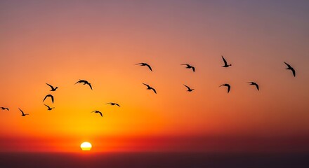 Obraz premium Birds flying during orange sunset sky.