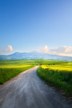 Slow Travel Rural Road   Green Countryside Spring Farming Landscape