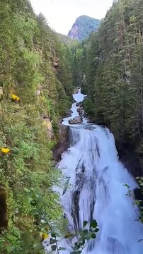 high angle view of majestic Reinbach waterfall surrounded by lush green pine forest