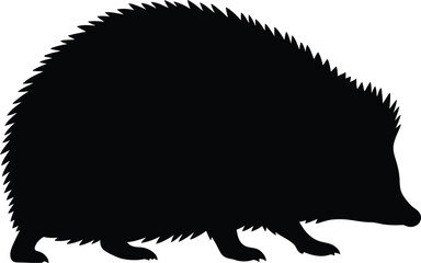 Hedgehog silhouette walking, vector illustration, black silhouette of a hedgehog