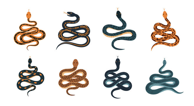 Eight various snakes in different colors and coiled poses are displayed as a collection on a white background.