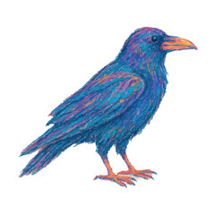 Obraz premium PNG Colorful crayon raven illustration