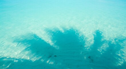 Fototapeta premium Aerial view of ocean waves crashing on shore with sunlight