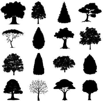 Siluetas de &aacute;rboles