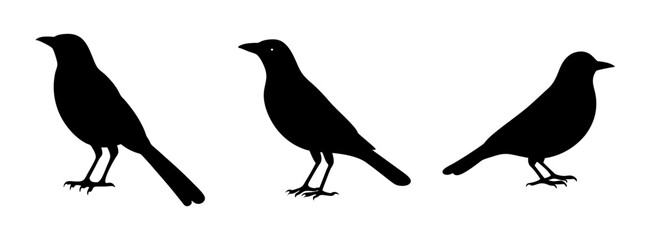Fototapeta premium Silhouette birds illustration vector graphic design element of standing birds in black color graphic