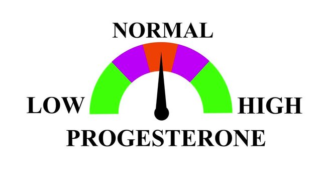 Progesterone meter animation. Measuring progesterone from low to high level. Increasing and decreasing Gauge from low to high Levels, comparison Indicator for data visualization and performance. 4k 
