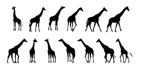 Giraffe Silhouette Collection Safari Animal Vector Set © Faheem