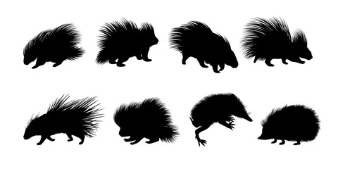 Fototapeta na wymiar Porcupine Silhouette Collection Wild Animal Vector Set