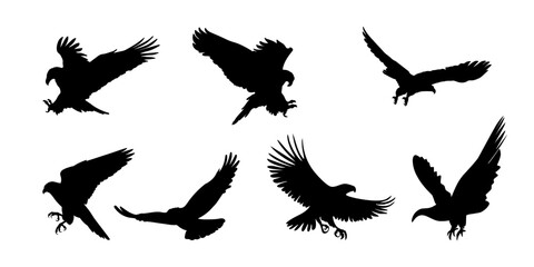 Obraz premium Flying Eagle Silhouette Collection Bird Vector Set