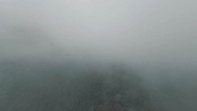Colombia aerial view of a misty forest. Flying over a valley with green trees. Morning fog, fields
