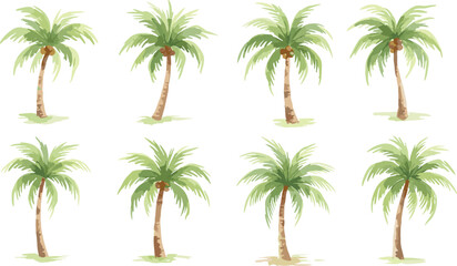 Fototapeta premium Watercolor vector illustration set of tropical coconut palm trees with green leaves isolated on white background for summer travel beach vacation and exotic nature design concepts.