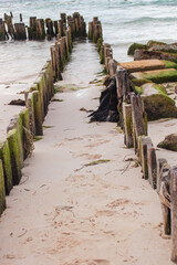 Fototapeta premium Groyne structures with wooden posts creating a weathered path into the ocean on a sandy beach, showcasing coastal erosion and protection during a cloudy day