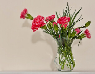 Fototapeta premium Delicate pink carnations arranged in a tiny clear glass vase. Minimalist ikebana-style floral composition. Seasonal fresh flowers. Clean background. Elegant and festive mood.