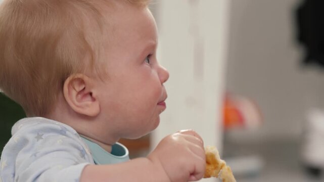 Little infant holding pieces of bread and chewing, baby eating, radiating innocence