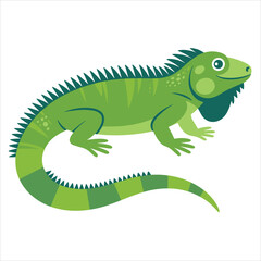 Fototapeta premium Green iguana vector style illustration