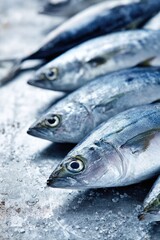 Obraz premium Fresh silver fish on ice displayed in a row at market