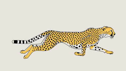 A vibrant illustration of a cheetah in a dynamic running pose. © Rendi