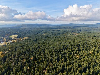 vast forest panorama, panoramic aerial depiction of continuous green treetops and drifting cloud shades © Nataliia