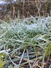 naturaleza, atardeceres unidos y paisajes de montes y mar