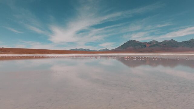 Aerial view of pink flamingos gathered on a high-altitude lagoon in Bolivia&rsquo;s Sud L&iacute;pez region, surrounded by volcanic landscapes and the Andes.