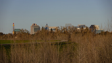 Sacramento city skyline rising behind bare winter trees