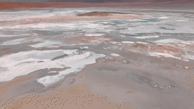 Aerial view of a salt lake in the Bolivian Altiplano, with pale mineral water and reflective surface. Minimalist landscape with soft tones and remote atmosphere.
