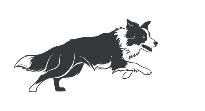 Dynamic Abstract Border Collie Silhouette in Energetic Herding Run.
