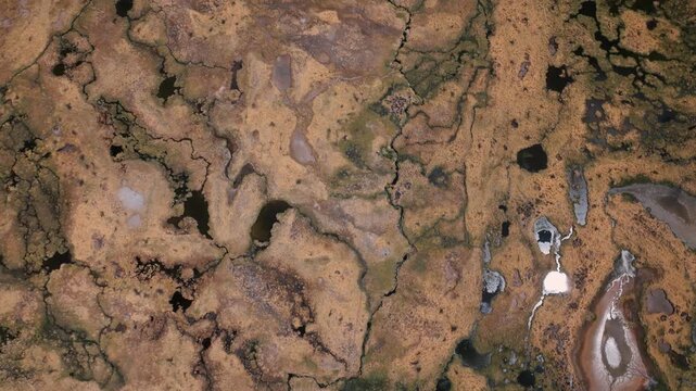 Aerial view of alpacas grazing across the vast high-altitude grasslands of Sajama National Park, surrounded by the dramatic landscapes of the Bolivian Andes.