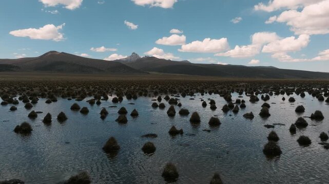 Aerial view of the vast plains of Sajama National Park, Bolivia. Endless grasslands stretch beneath the peaks of the Andes in a remote high-altitude landscape.
